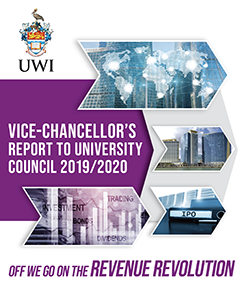 VC Report 2020
